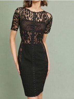 Black Lace & Ponte Sheath Dress